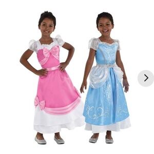 Reversible Cinderella Costume